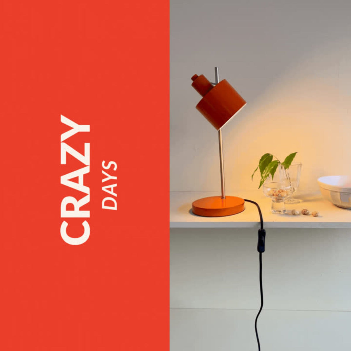 Crazy Days