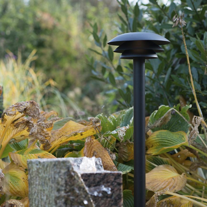 A black garden lamp stands among withered, yellowed hosta leaves and bushes in a garden, next to a rough rock, surrounded by green and golden foliage.