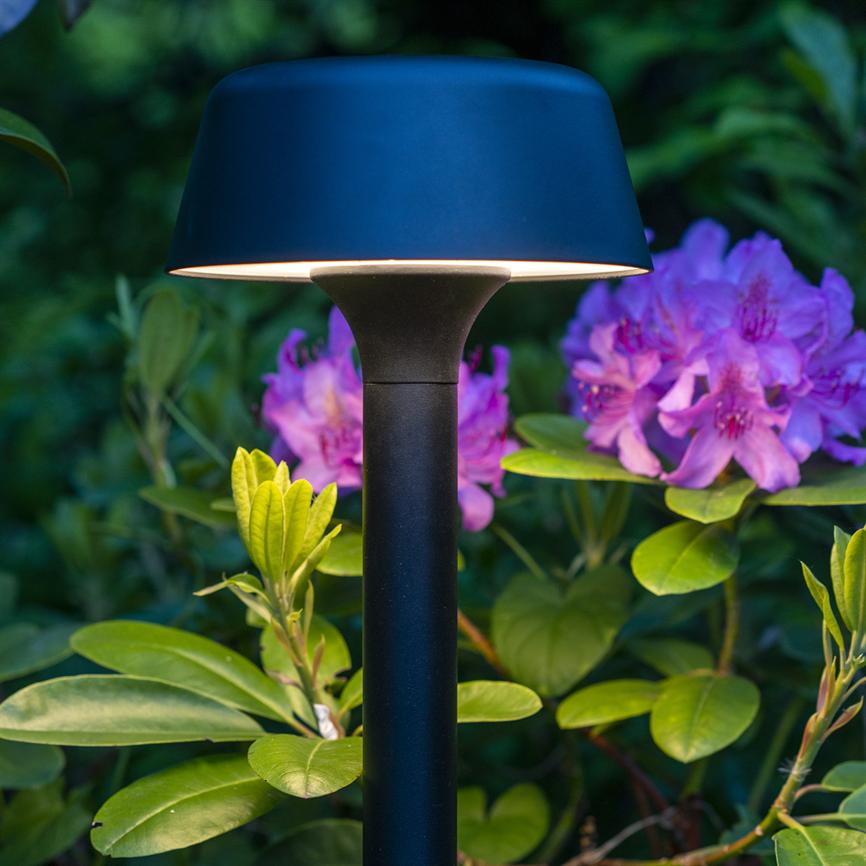 A black, modern garden lamp shines softly downwards, surrounded by green leaves and large pink rhododendron flowers in soft evening light.