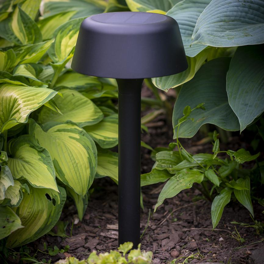 A black garden fixture stands as a short stake planted in the soil; surrounded by large, green hosta leaves in a dense garden bed.