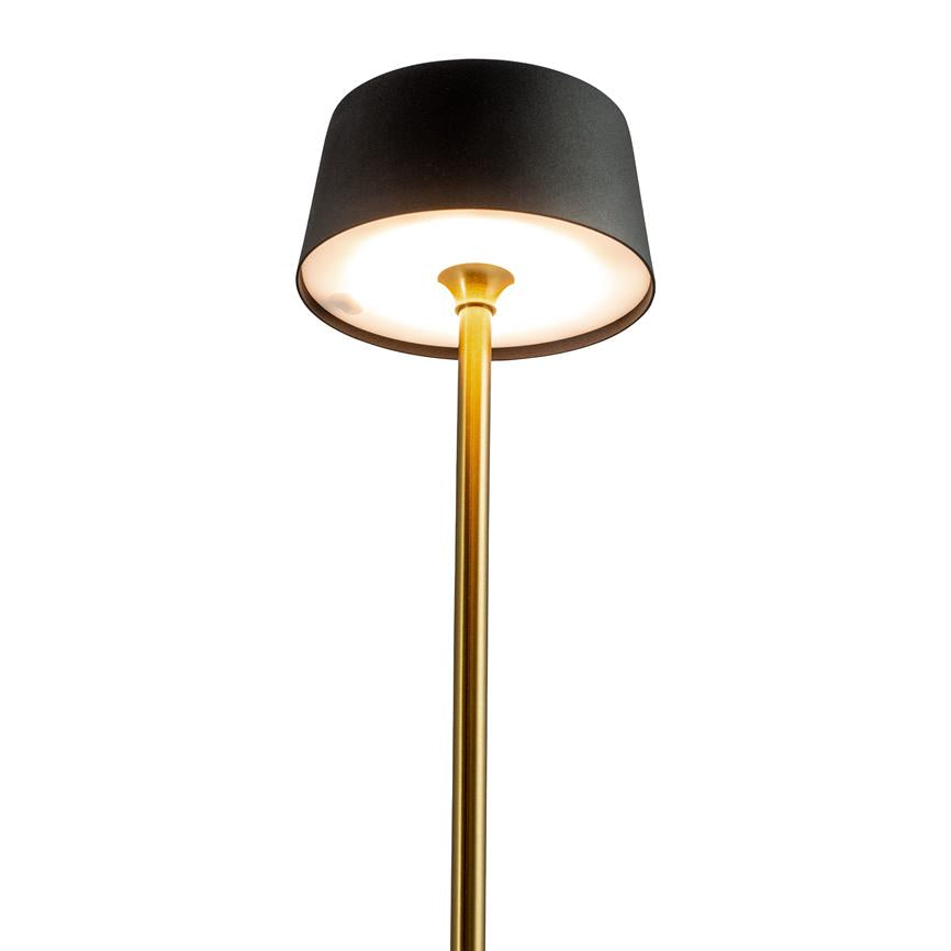 Gold colored floor lamp with black cylindrical shade, lit and casting soft, warm light downwards; simple, modern style against a neutral, white background.