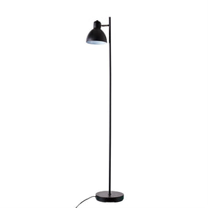 Black floor lamp stands upright with tall, slender pole and downward-facing dome shade; round foot and loose cord on white background.