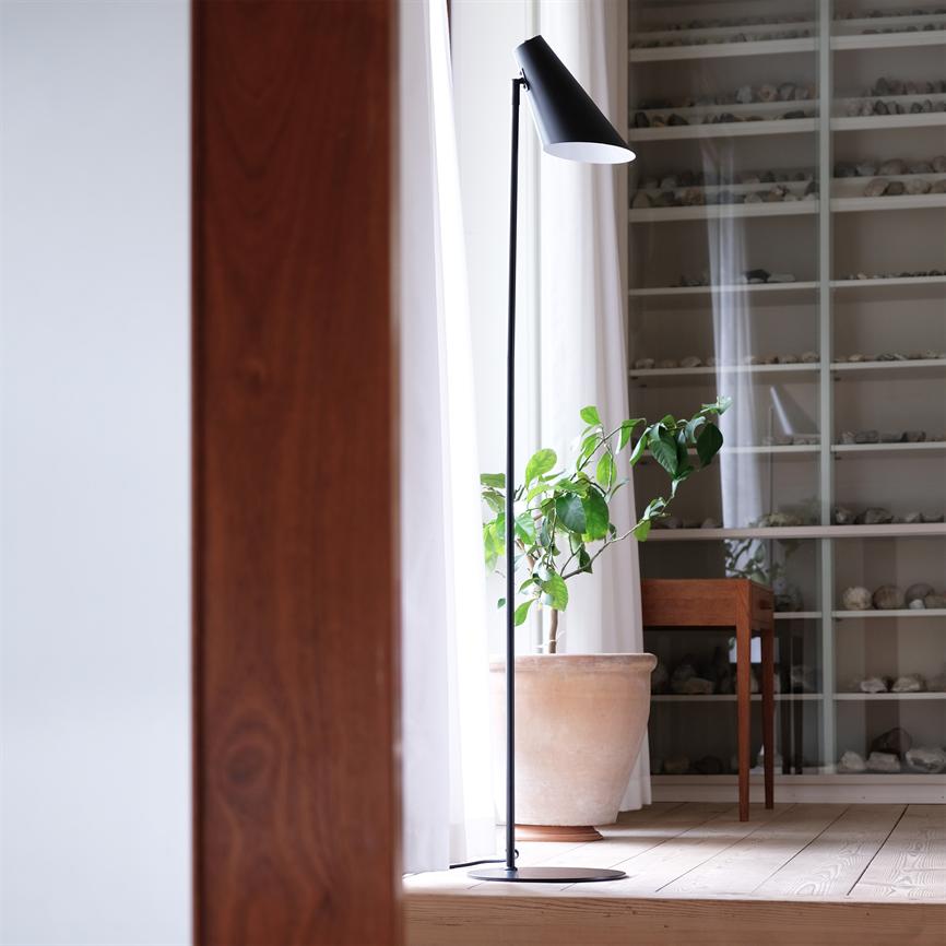 Floor lamp stands by bright window; potted plant stretches towards the light; behind shelves with small stones and wooden table in light, simple room with wooden floor and white curtains.