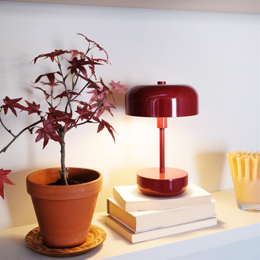Red table lamp shines softly on a stack of books; stands on a white shelf against a white wall next to a terracotta pot with red Japanese maple and a yellow candlestick.