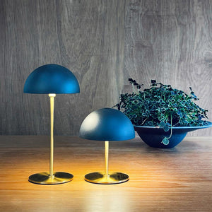 Two mushroom-like table lamps glow warmly on a wooden table; a low, bowl-shaped potted plant with green leaves stands behind them in front of a dark wood-clad wall.