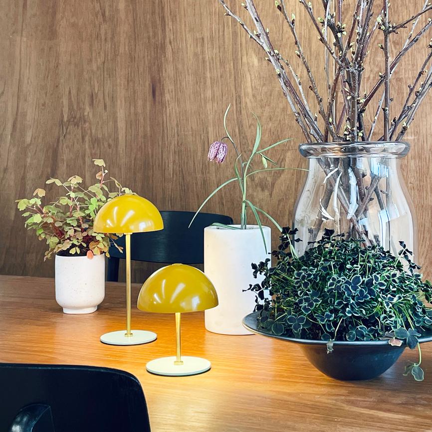 Two yellow table lamps are lit on a wooden table; surrounded by pots of plants and a large glass vase with branches in a bright, warm kitchen/dining area.