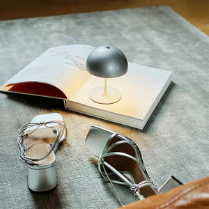 Little gray lamp shines on an open book; a pair of silver laced high-heeled sandals are spread out on a light, soft rug. The text of the book is not readable.