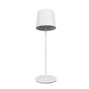 Floor lamp stands vertically, shade points downwards; slim bar and round base on a solid white background in a minimalist, monochromatic design.