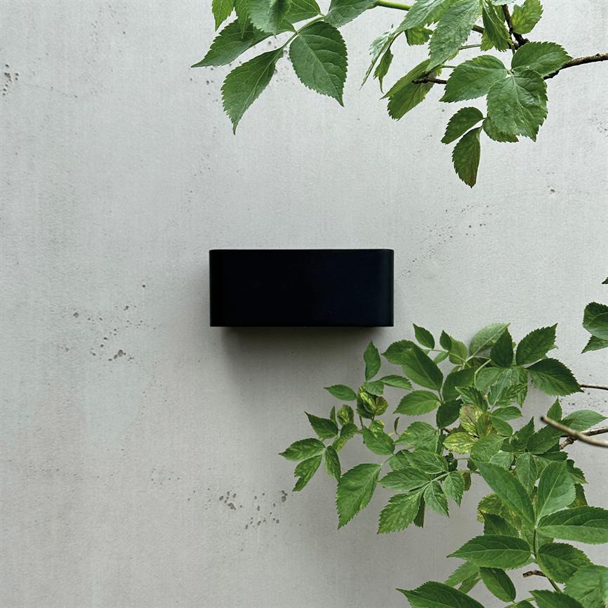 Black rectangular object is mounted on a light gray concrete wall; green leaves from surrounding branches frame right and top edges.