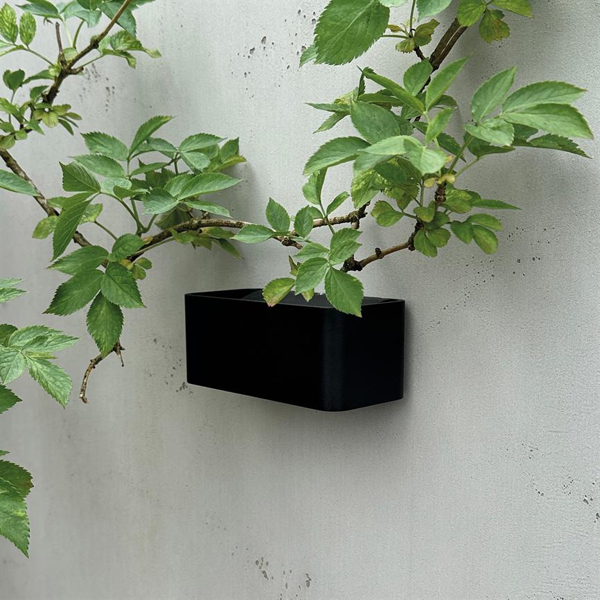 Black rectangular wall pot, holding a branch with green leaves growing horizontally; situated on a light, slightly stained concrete wall.