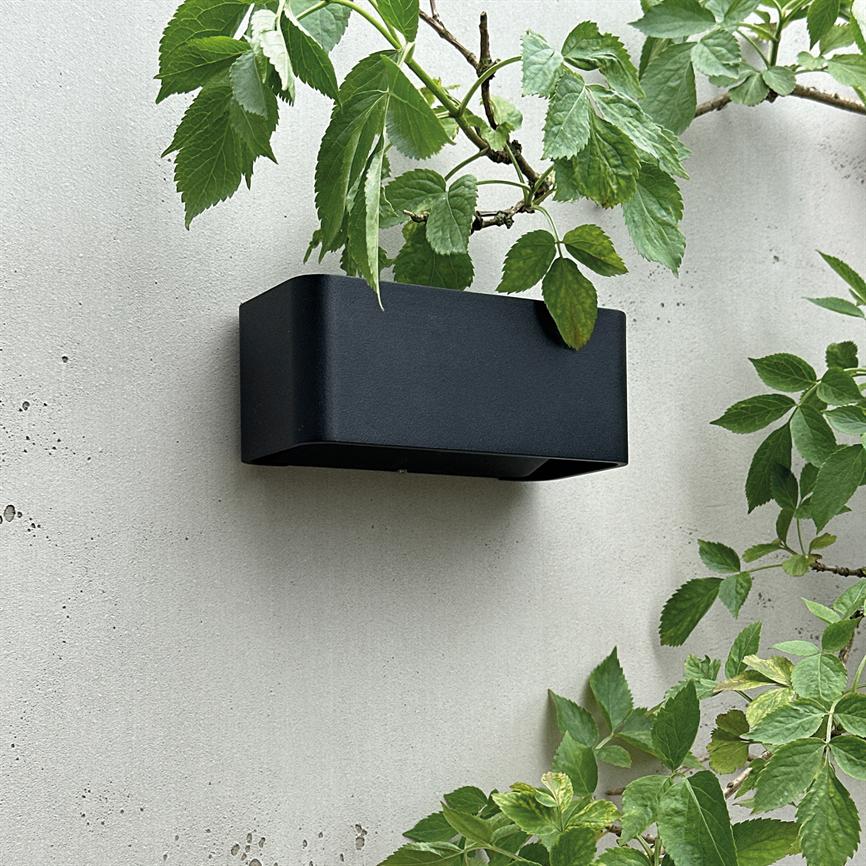 A black, rectangular wall lamp is mounted on a light concrete wall, surrounded by the leaves of green climbing plants.