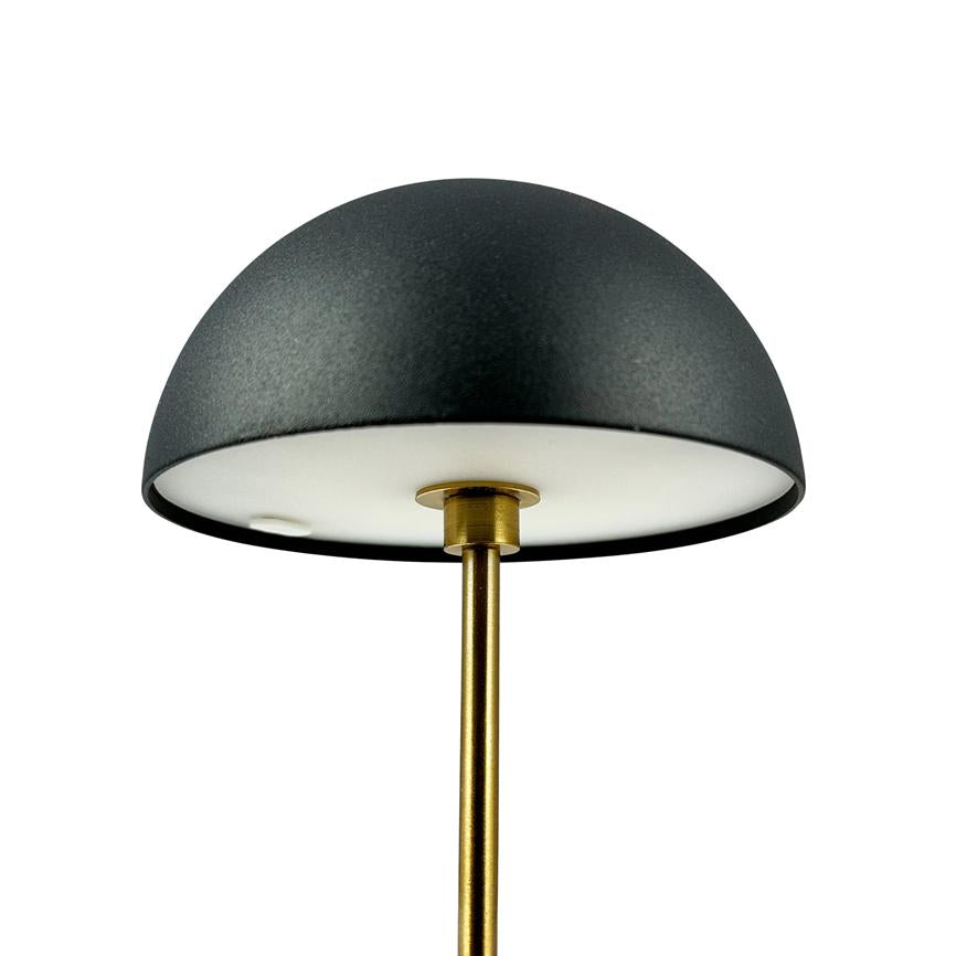 Object: black, hemispherical lamp dome mounted on a slender brass rod. Action: the white underside of the dome faces down. Context: neutral white studio background.